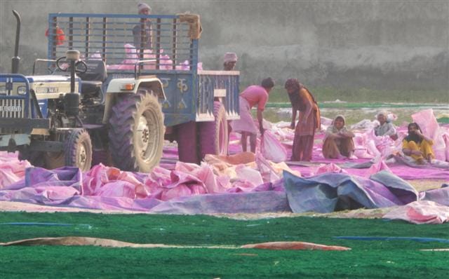 Demand grew during the election season Hathras color
