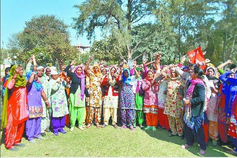 Devilal Park sirsa, Mid-day meal sirsa, sirsa