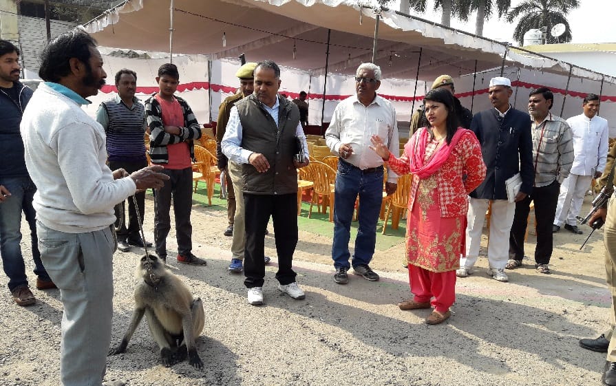 Rent LARRDIS with the acquisition of eight baboon dm b chandrakala