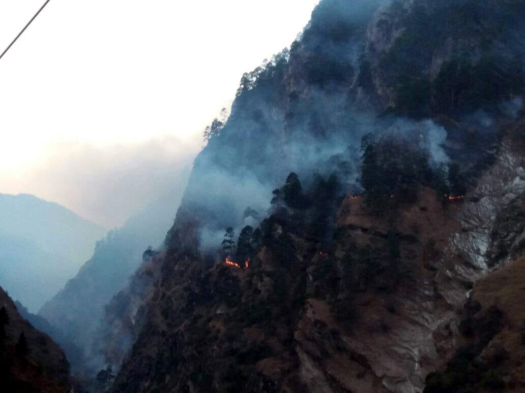 fires in Ramni and Helng forest .