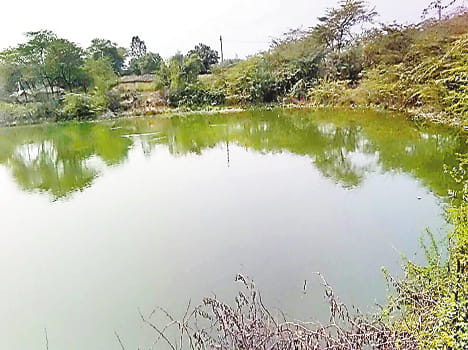 TAC team has ruled out investigating ponds