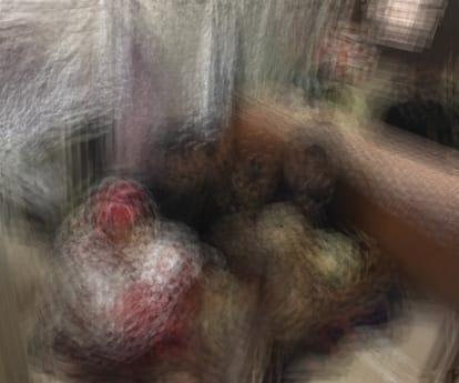 two arrested who were going to sell girls.