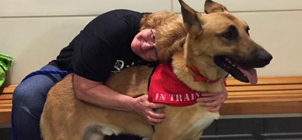 dog released from murder case by court in america