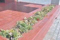 sonipat, for nac grading make garden in one houre