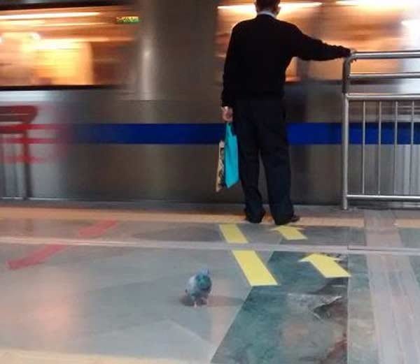 Photo of two women in Brazil went viral, at metro station