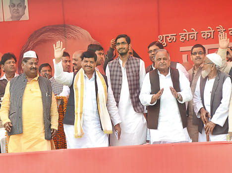 my government, my son,what to do