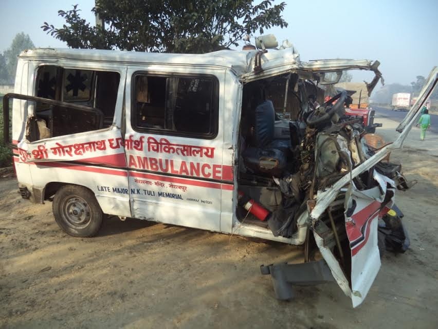 eight people including three brothers died in a road accident