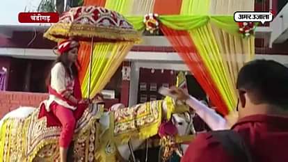 BRIDE RIDE ON HORSE IN ROHTAK