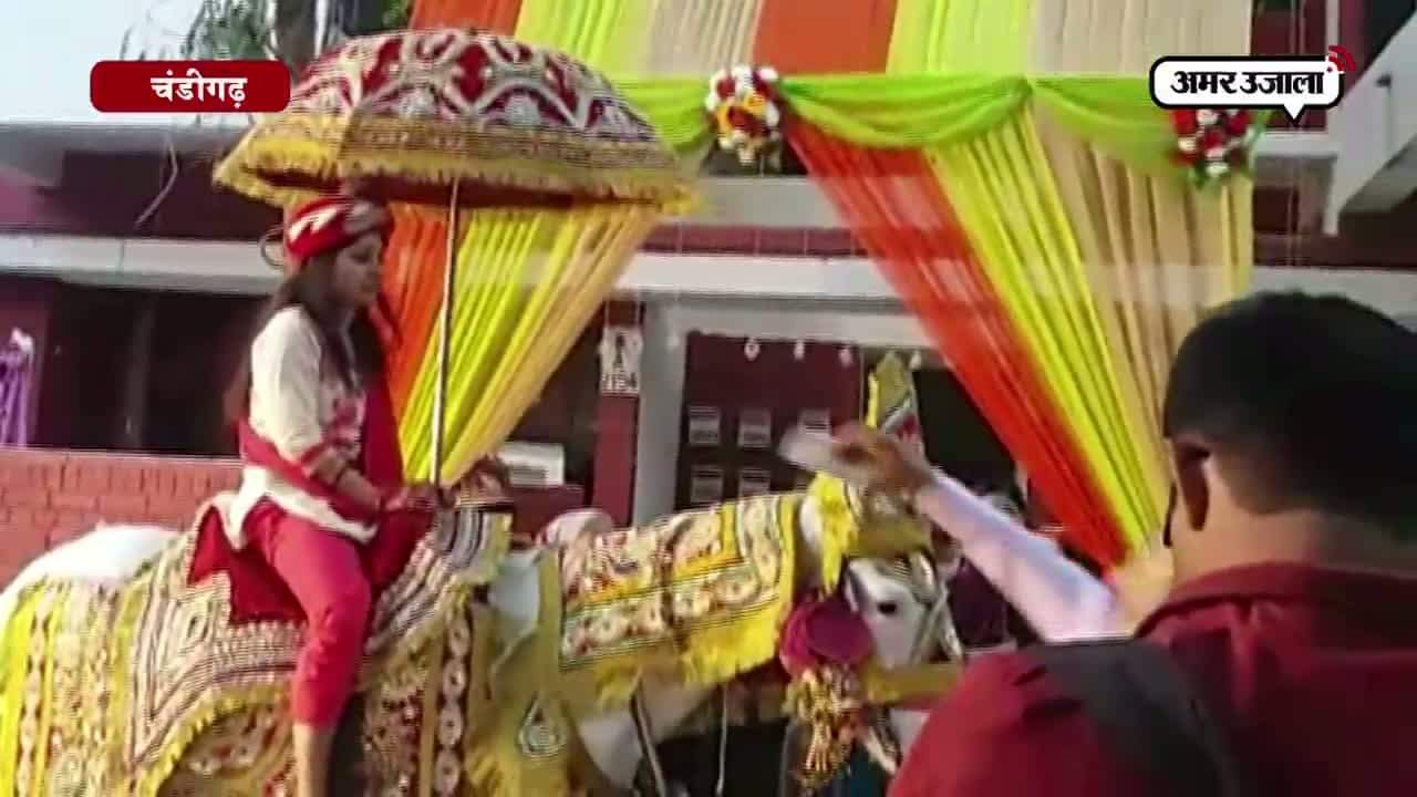 घोड़ी पर सवार हुई दुल्हन