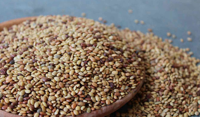 Amazing Benefits Of Lentil Horse Gram