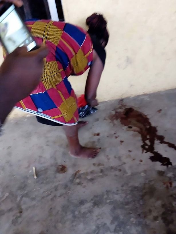 Woman 'gave birth to GOAT after two-year pregnancy' 