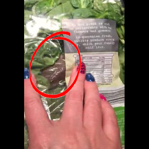 Woman Found Bizarre Thing In Aldi's Spinach