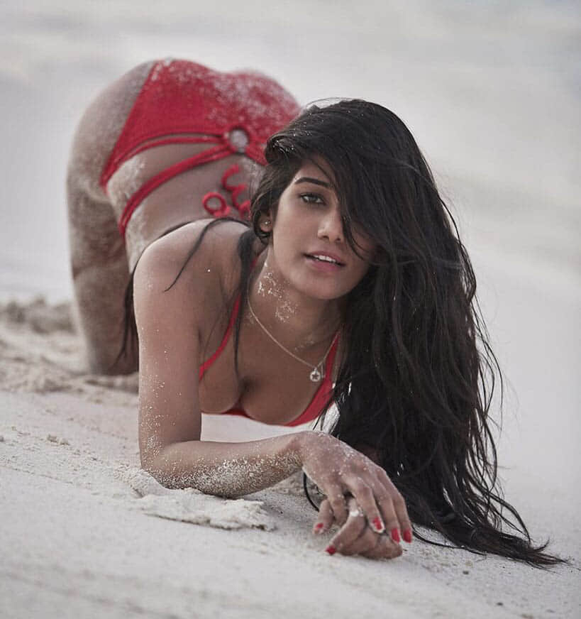 Poonam Pandey's hot video on Valentine's Day