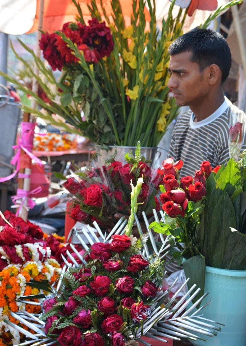 Rose to express love by giving