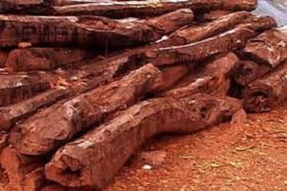 smuggled sandal wood consumption in kannauj up