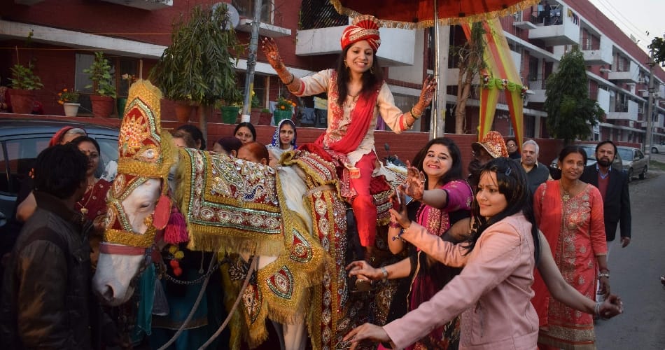 unique marriage of bank officer chinu at chandigarh, bride ghudchadi did by parents
