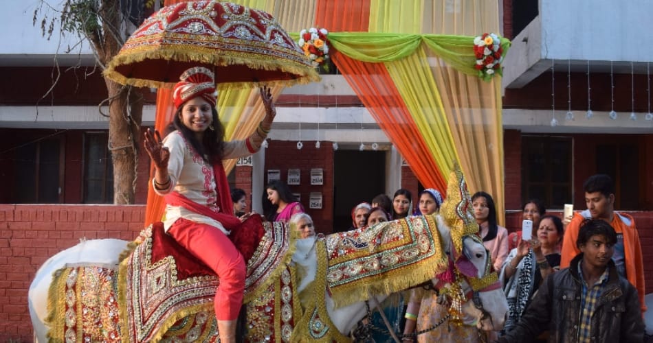 unique marriage of bank officer chinu at chandigarh, bride ghudchadi did by parents