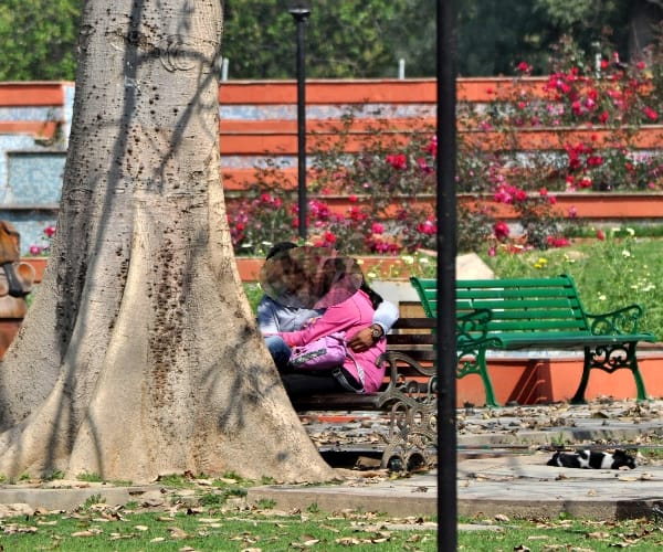  valentine day celebration in Lucknow.