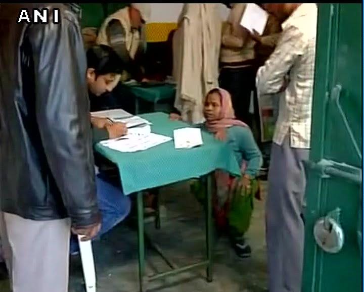 Strange and wonderful sight on polling area