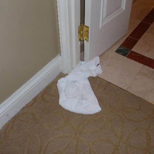 Do These Things Before Bring Girlfriend To Home