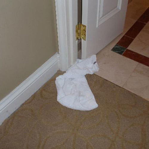 Do These Things Before Bring Girlfriend To Home
