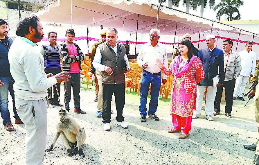 Baboon boss killing in Security of EVM, Candidates, including administration created a stir