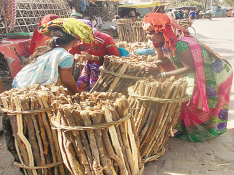 Cole lyrics electoral Mnikpur