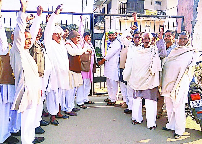Xen farmers commotion in the office