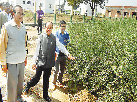 Bundelkhand will recognize as lentils bowl