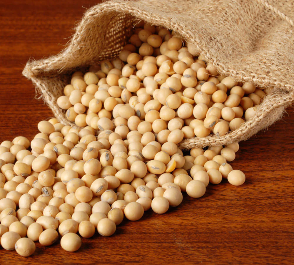 amazing benefits of soyabean