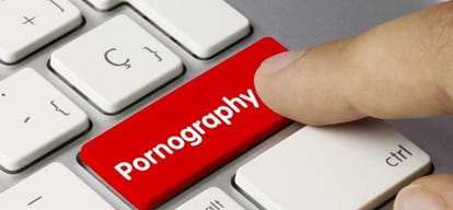 wife filled pettition in sc for his husband is addict of porn