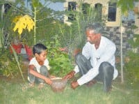 12 ½ million trees planted to create green district, teach the art, grandson, jind