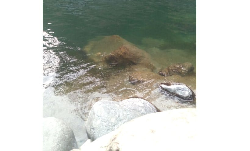 IIT mandi Engineering Student Found Dead at Uhal River.