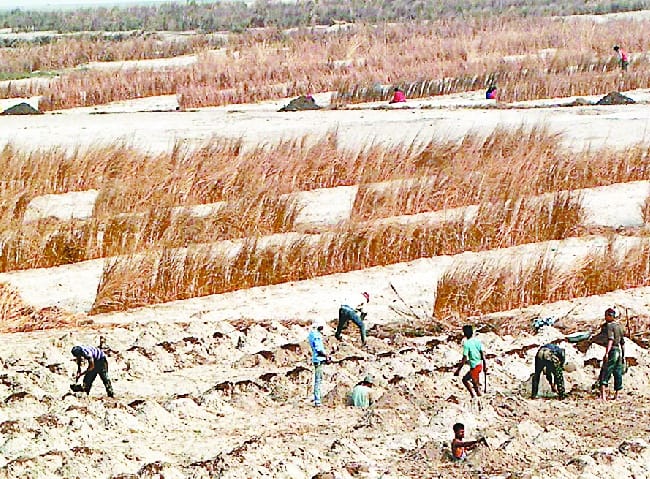 Ganga occupied land mafia