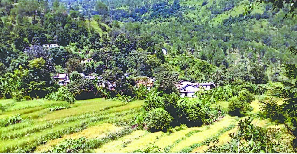 Kore, the road connecting the village of martyr proved assurance