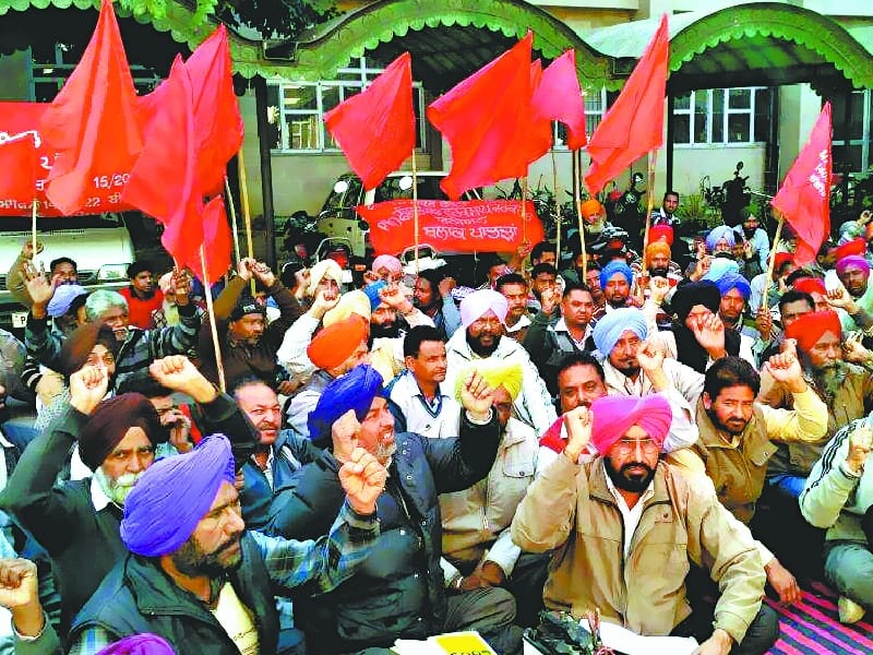 PWD Field and Workshop Workers Union, the Treasury office, picketing, protesting, Patiala