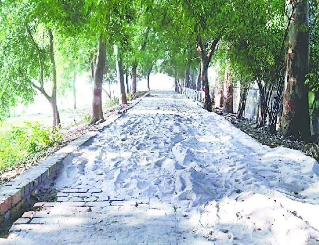  Indira Park's comeback day