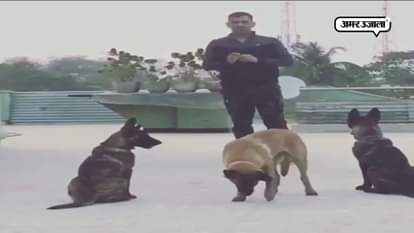 MS DHONI POSTS VIDEO ON SOCIAL SITE FOR HIS FANS 