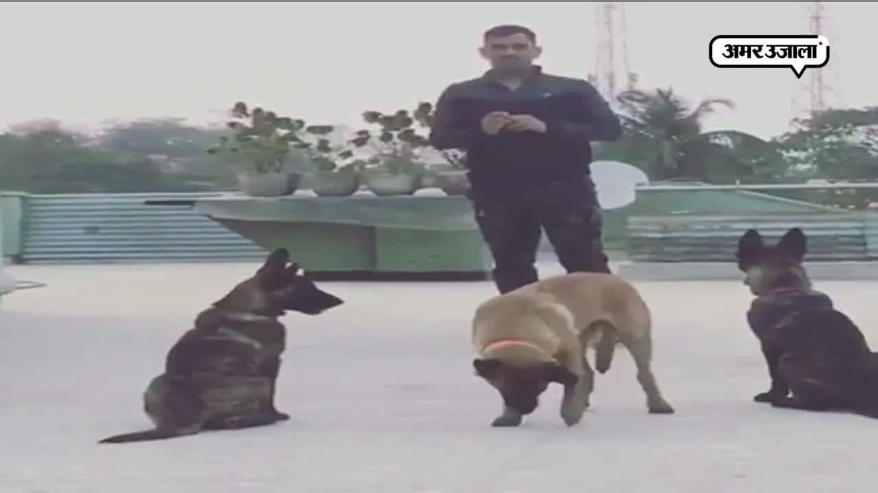 धोनी, वायरल वीडियो 