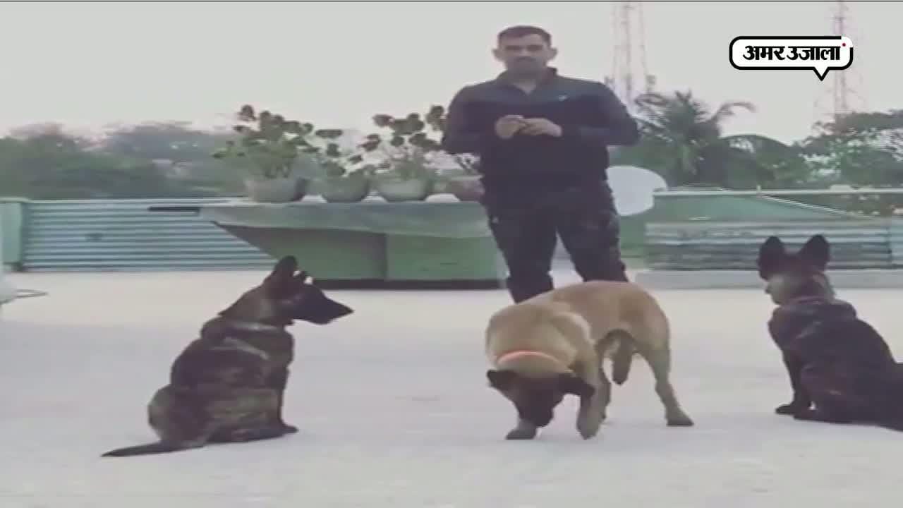 धोनी, वायरल वीडियो 