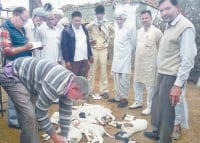 bhat cholony, attack on sheeps, 7 sheeps killed, 3 injured