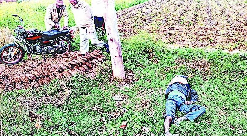 The bike crashed into a tree, killing driver