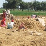government planning to revamp crop insurance scheme, may cover damage to house property