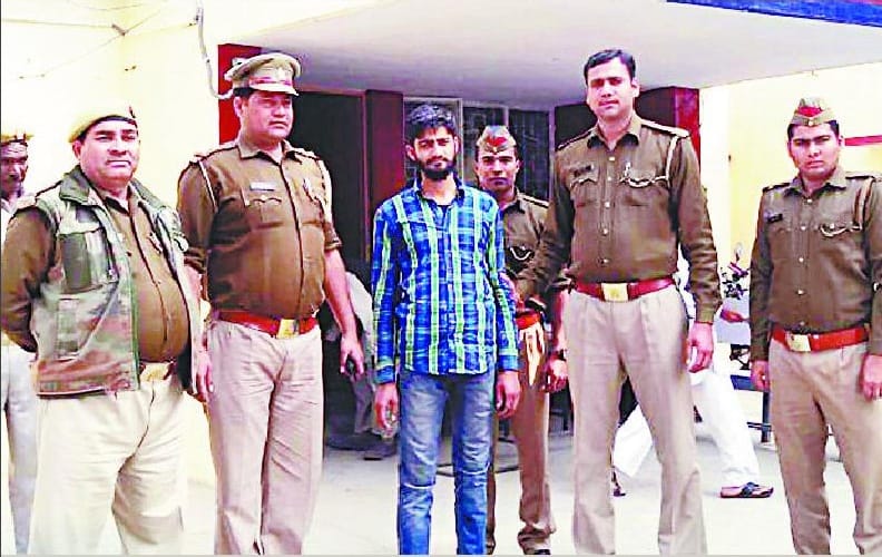 19 cow recovered from truck