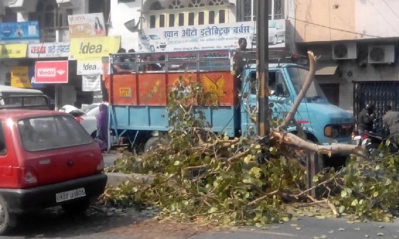 Broken tree fell on the road in Kashipur