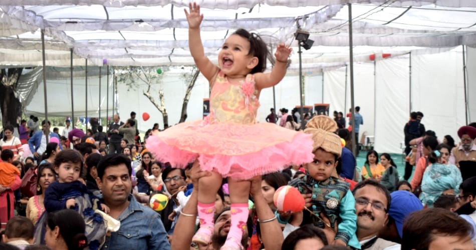 45th chandigarh rose festival second day, chandigarh news