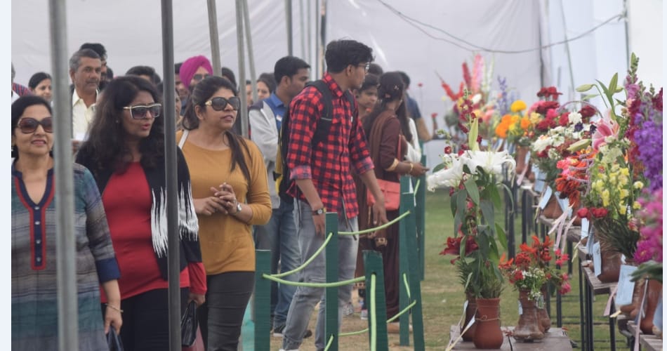 45th chandigarh rose festival second day, chandigarh news