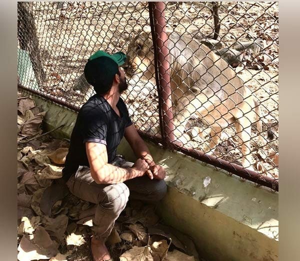 Sir Ravindra Jadeja selfie in front of lion 