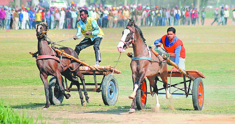 kila raipur mela finished in ludhiana punjab