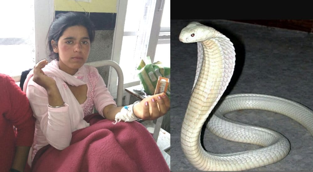 Mysterious Snake Bite Manisha 34 Times.